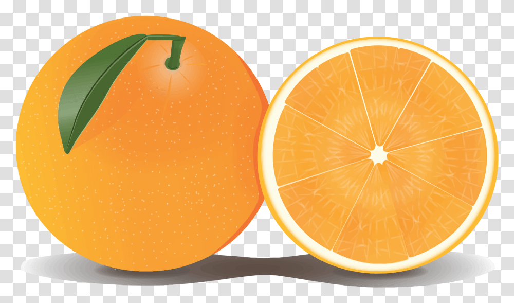 Orange Slice Download Image Arts Clipart Background Orange, Citrus Fruit, Plant, Food, Grapefruit Transparent Png
