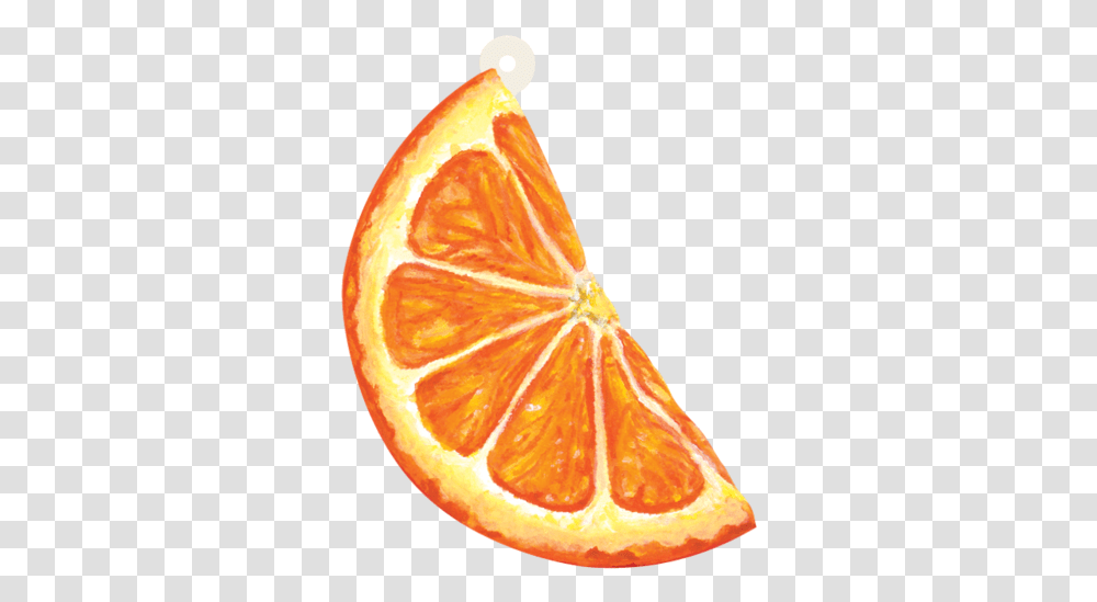 Orange Slice Gift Tag Clementine, Citrus Fruit, Plant, Food, Grapefruit Transparent Png