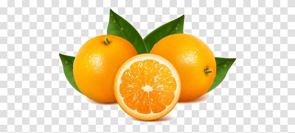 Orange Slice Image Arts, Citrus Fruit, Plant, Food, Grapefruit Transparent Png