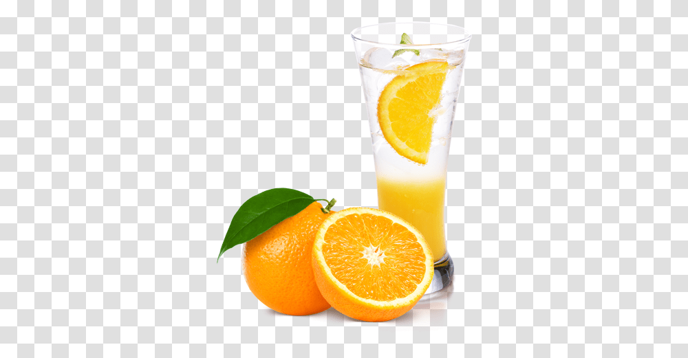 Orange Slice Image Fruits What We Eat, Citrus Fruit, Plant, Food, Juice Transparent Png