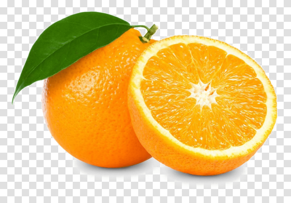Orange Slice Images 5 Pictures Of Fruits, Citrus Fruit, Plant, Food, Grapefruit Transparent Png