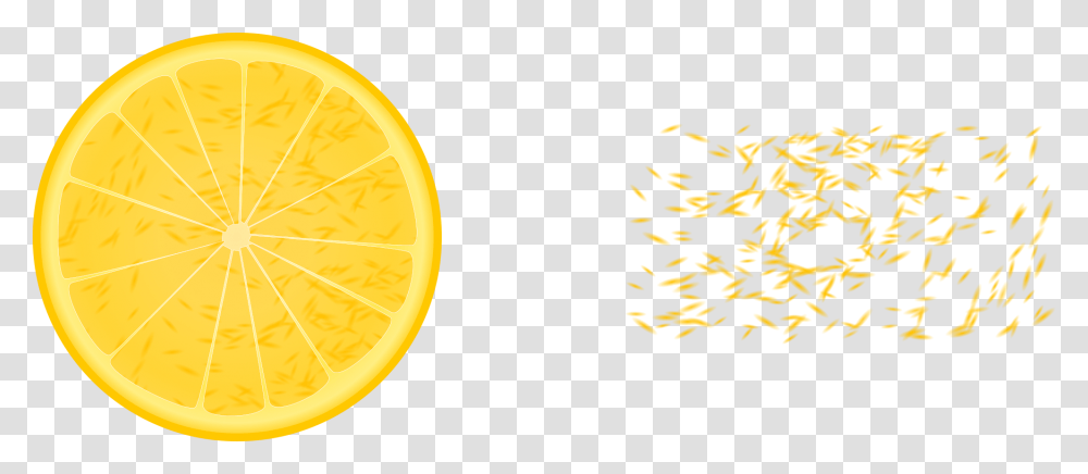 Orange Slice Meyer Lemon, Plant, Citrus Fruit, Food, Wheel Transparent Png