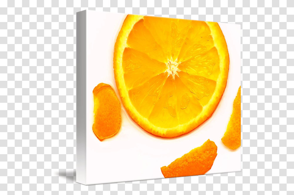 Orange Slice V Edit B By Nawfal Johnson Nur Bitter Orange, Citrus Fruit, Plant, Food, Peel Transparent Png
