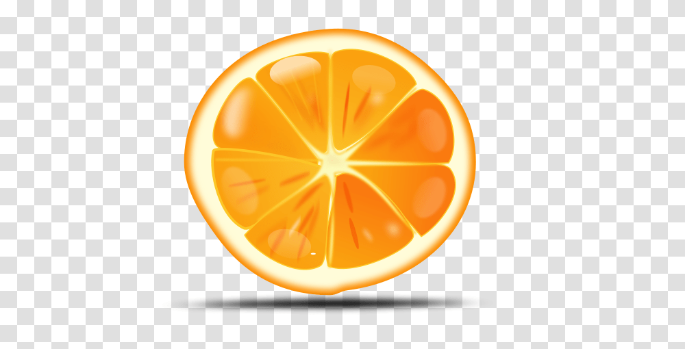 Orange Slice Vector, Citrus Fruit, Plant, Food, Grapefruit Transparent Png