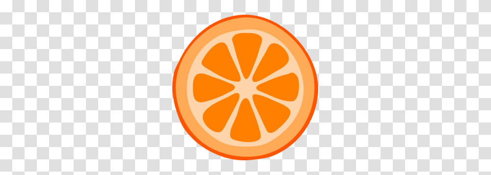 Orange Slice Vector, Plant, Citrus Fruit, Food, Produce Transparent Png