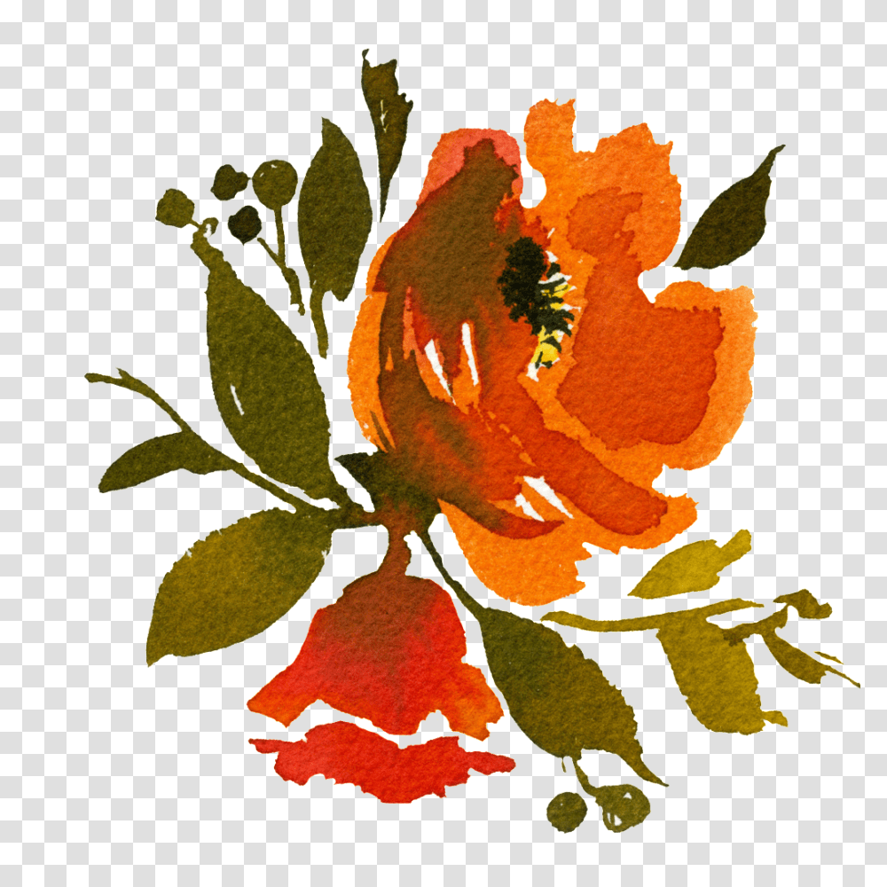 Orange Smudge Flower Free Download, Plant, Floral Design Transparent Png