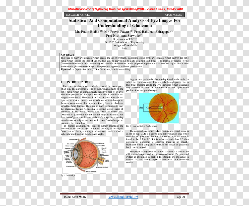 Orange, Sphere, Plot, Vegetation Transparent Png