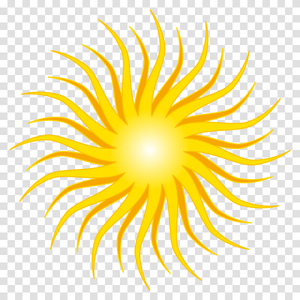 Orange Sun, Flare, Light, Sunlight, Nature Transparent Png