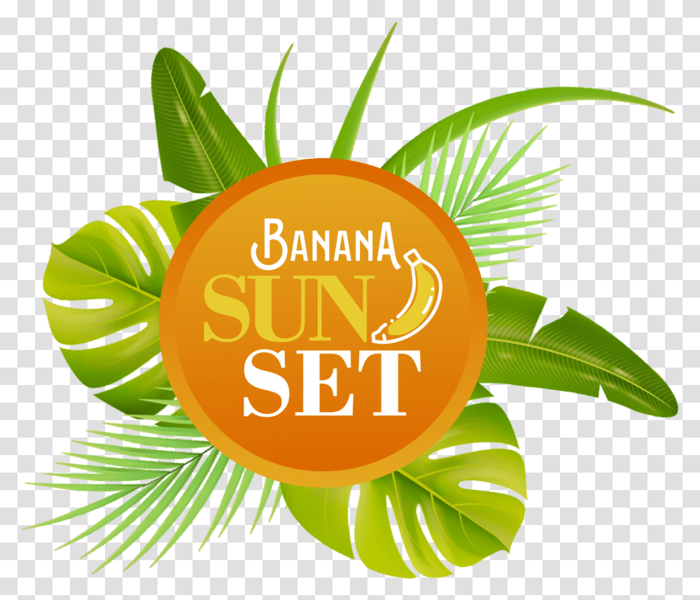 Orange Sun, Plant, Fruit, Food, Pineapple Transparent Png