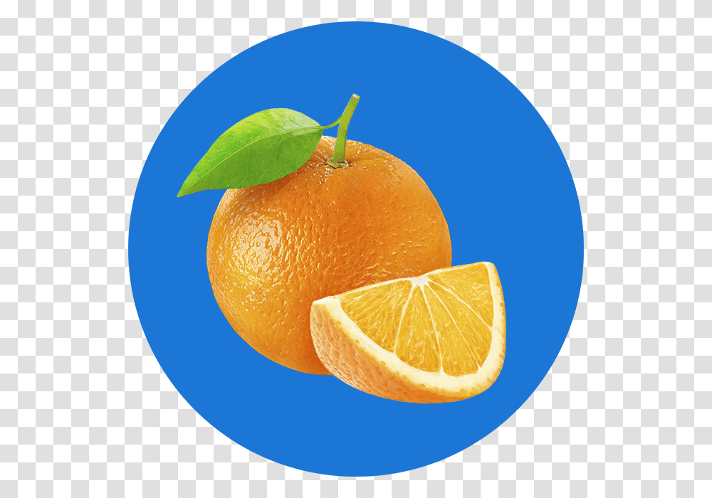 Orange Tangerine, Citrus Fruit, Plant, Food, Grapefruit Transparent Png