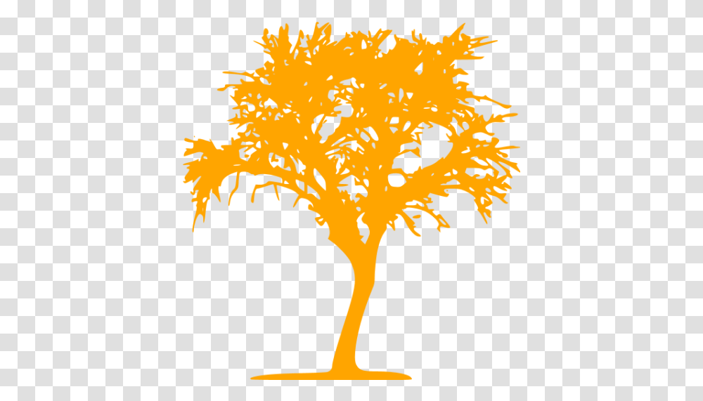 Orange Tree 10 Icon Free Orange Tree Icons Icon, Graphics, Art, Pattern, Plant Transparent Png