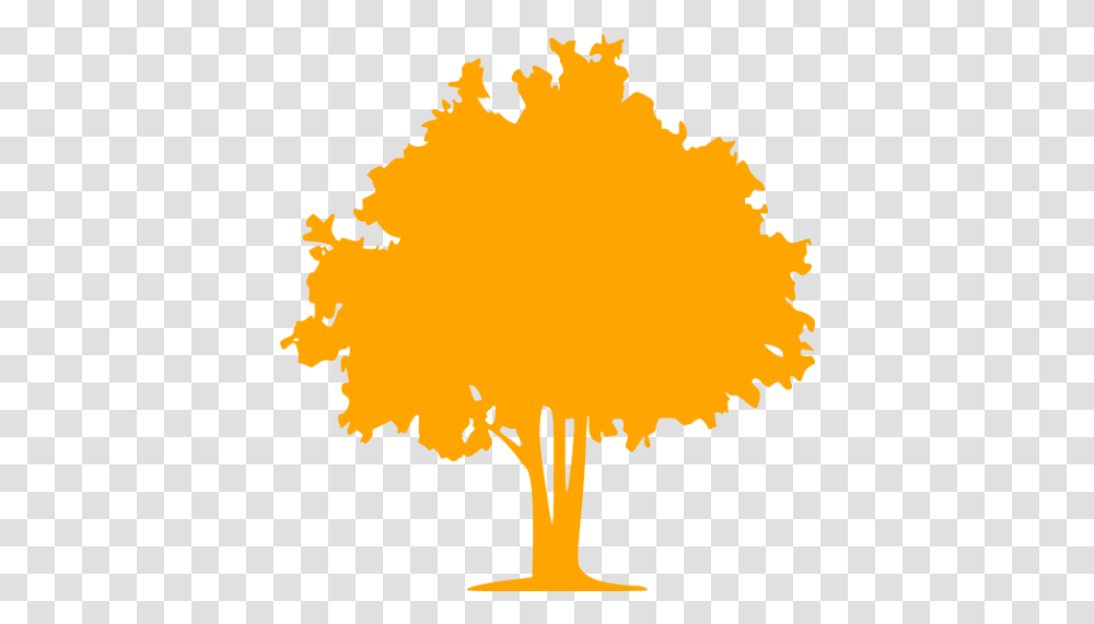 Orange Tree 32 Icon Free Orange Tree Icons Coniferous Vs Deciduous Trees, Plant, Poster, Advertisement, Maple Transparent Png