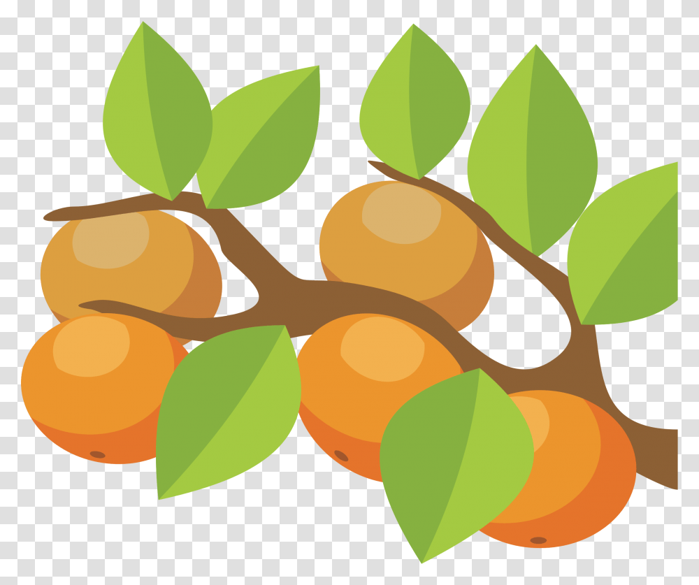 Orange Tree Clip Art, Plant, Leaf, Food, Produce Transparent Png