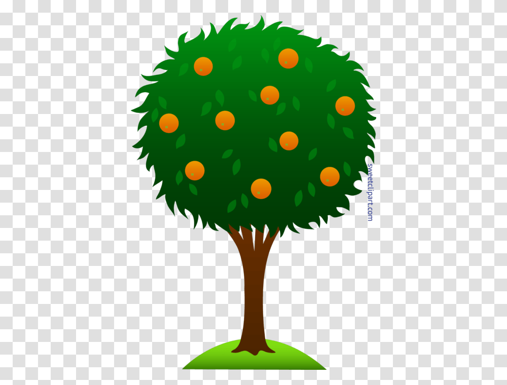 Orange Tree Clip Art, Sport, Sports, Ball, Photography Transparent Png