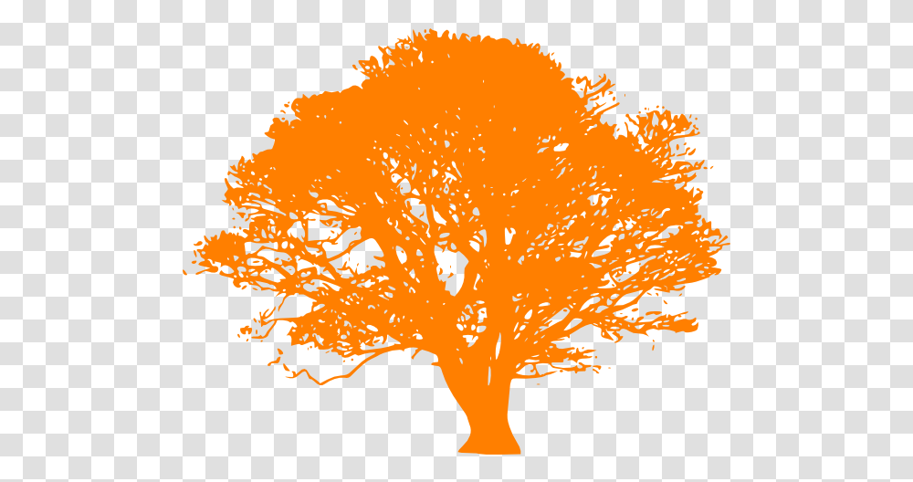 Orange Tree Download Free Clip Art Tree Black And White Vector, Plant, Pattern, Ornament, Fractal Transparent Png