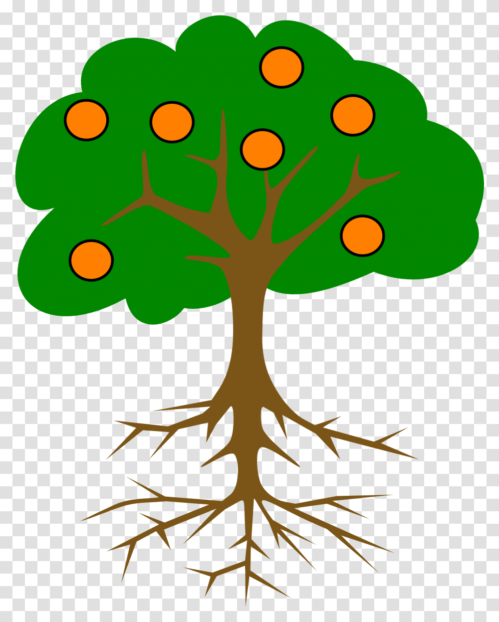 Orange Tree Drawing Mango Tree Root System, Plant Transparent Png