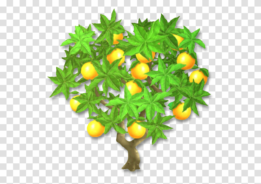 Orange Tree S 960x720 V70 8005 Kb, Plant, Fruit, Food, Citrus Fruit Transparent Png