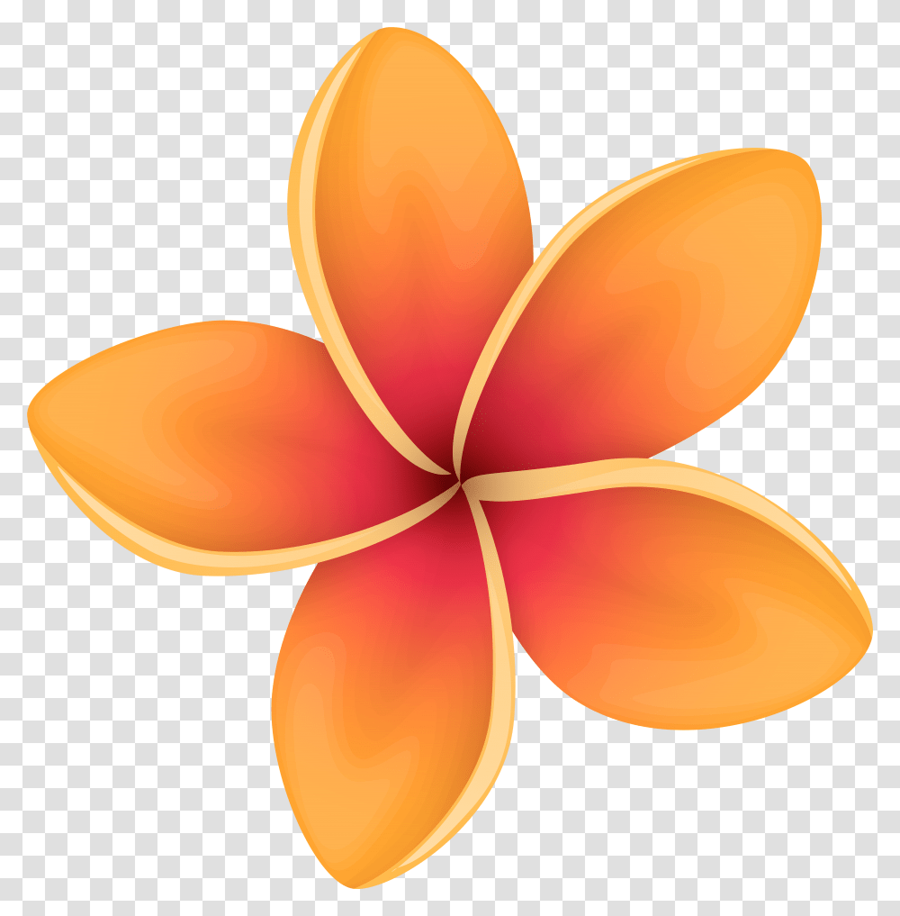 Orange Tropical Flower Clip Art Image Download, Petal, Plant, Blossom, Lamp Transparent Png