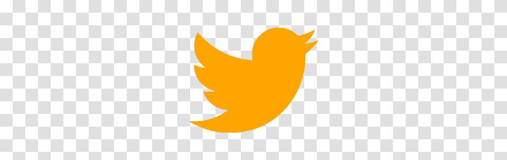 Orange Twitter Icon, Plant, Fruit, Food, Logo Transparent Png