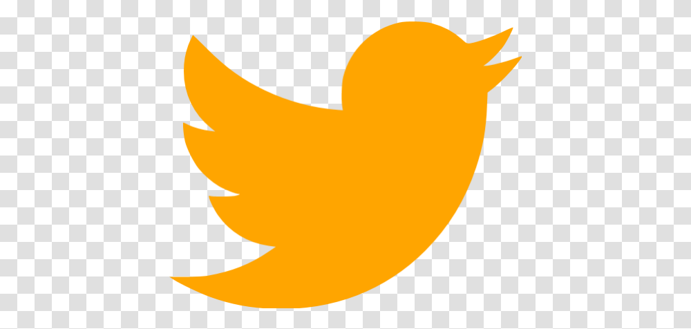 Orange Twitter Icon Twitter Logo Gray, Bird, Animal, Food, Pumpkin Transparent Png