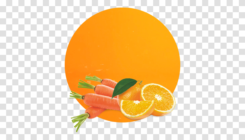 Orange & Carrot Compound Manufacturer And Supplier Carrot And Orange, Plant, Citrus Fruit, Food, Juice Transparent Png