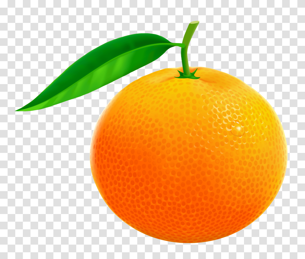Orange Vector Clipart, Citrus Fruit, Plant, Food, Grapefruit Transparent Png