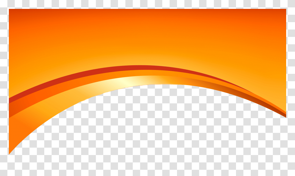 Orange Wallpaper, Beak, Bird Transparent Png