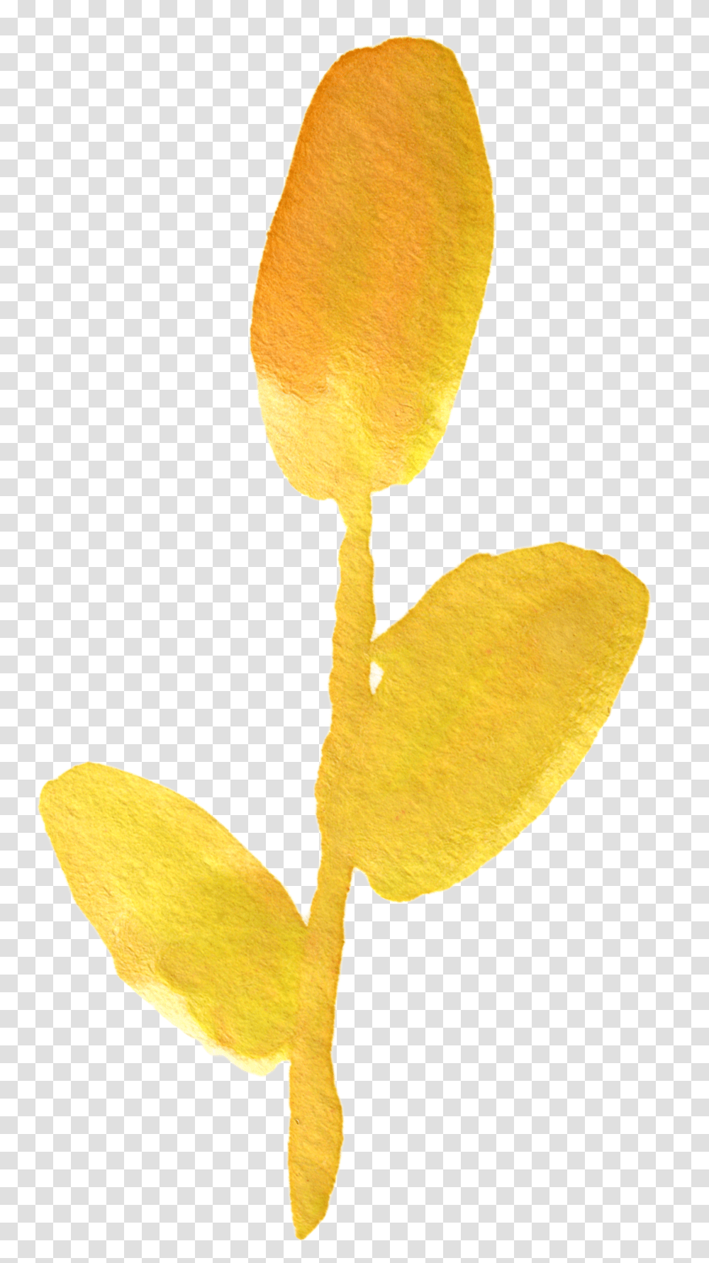 Orange Watercolor Flower, Plant, Bird, Animal, Blossom Transparent Png