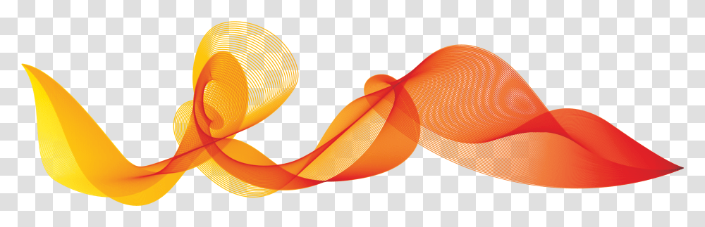 Orange Wave Vector, Animal, Fish Transparent Png