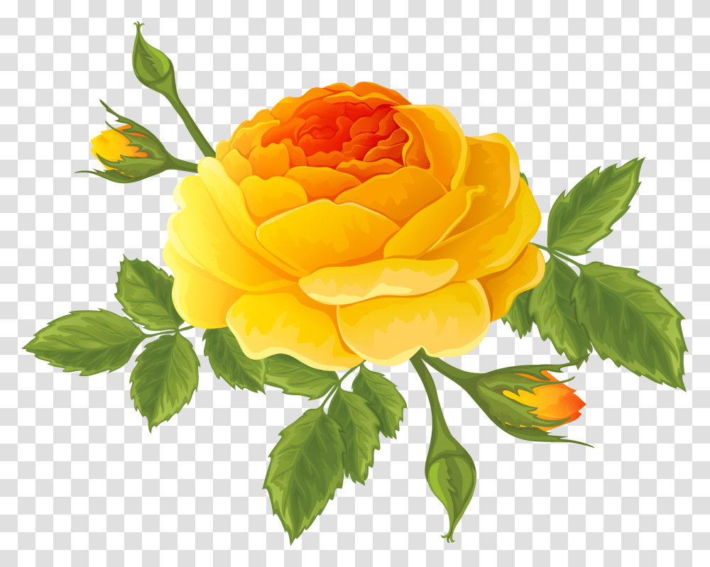 Orange With Buds Transparent Png