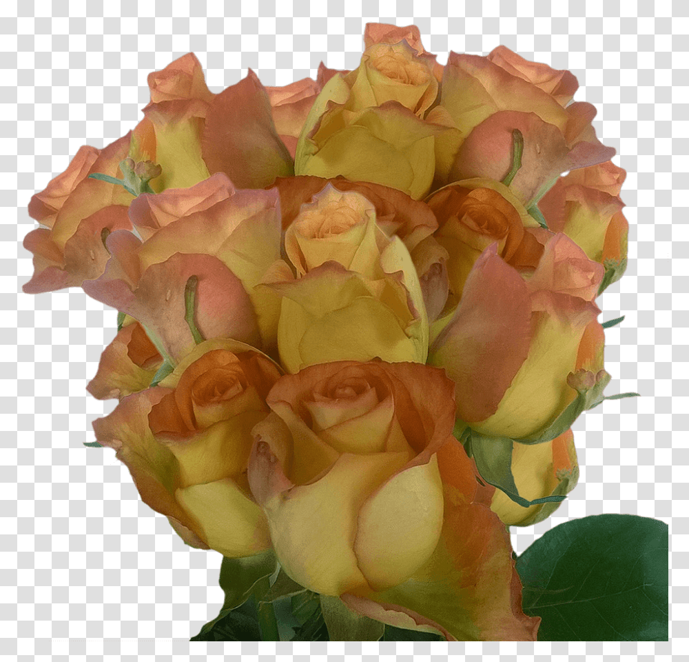 Orange Yellow Roses Long Stem Rose Flowers Garden Roses, Plant, Blossom, Flower Arrangement, Flower Bouquet Transparent Png