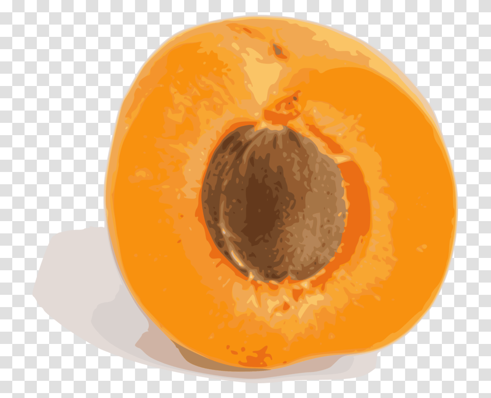 Orangefoodplant Apricot Fruit, Produce, Peach Transparent Png