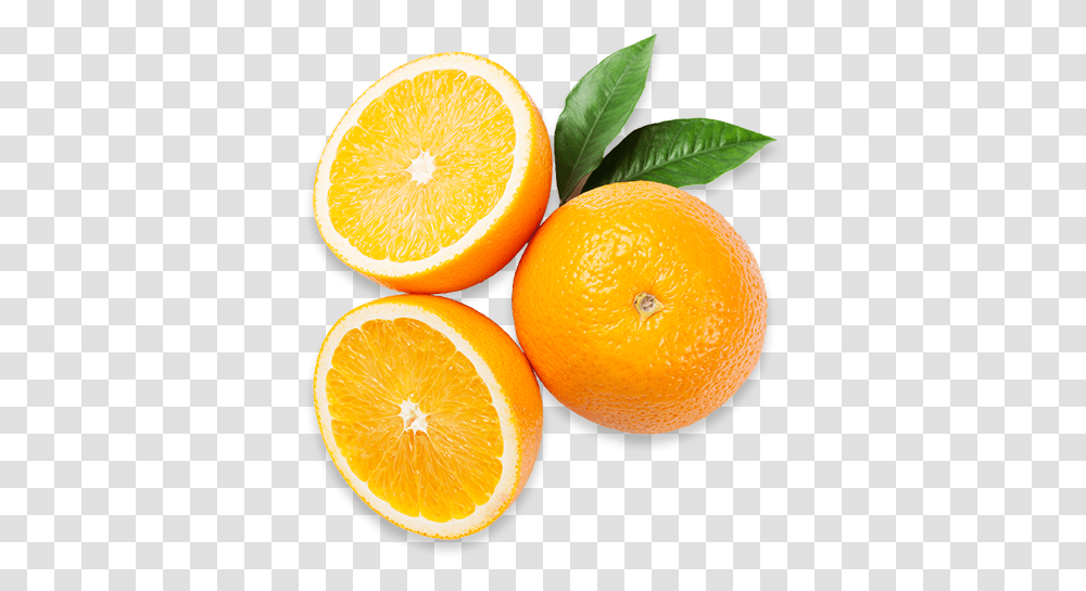 Oranges Americas Breakroom Orange, Citrus Fruit, Plant, Food, Grapefruit Transparent Png