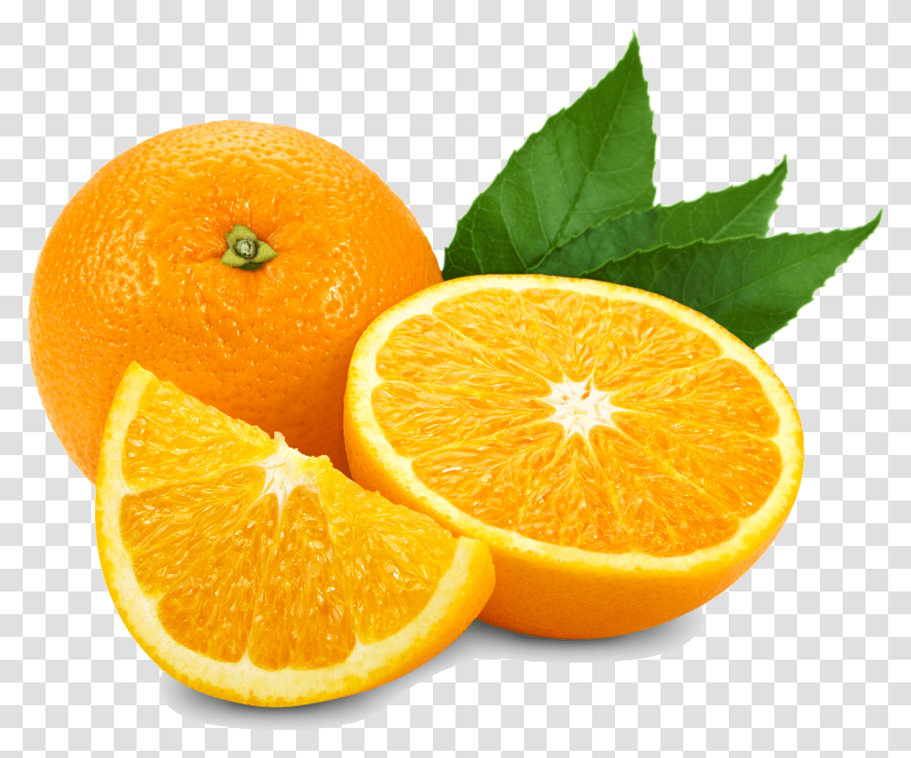 Oranges Atcom General Trading Atmos Lab Transparent Png