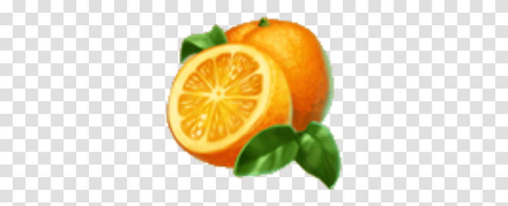 Oranges, Citrus Fruit, Plant, Food, Grapefruit Transparent Png