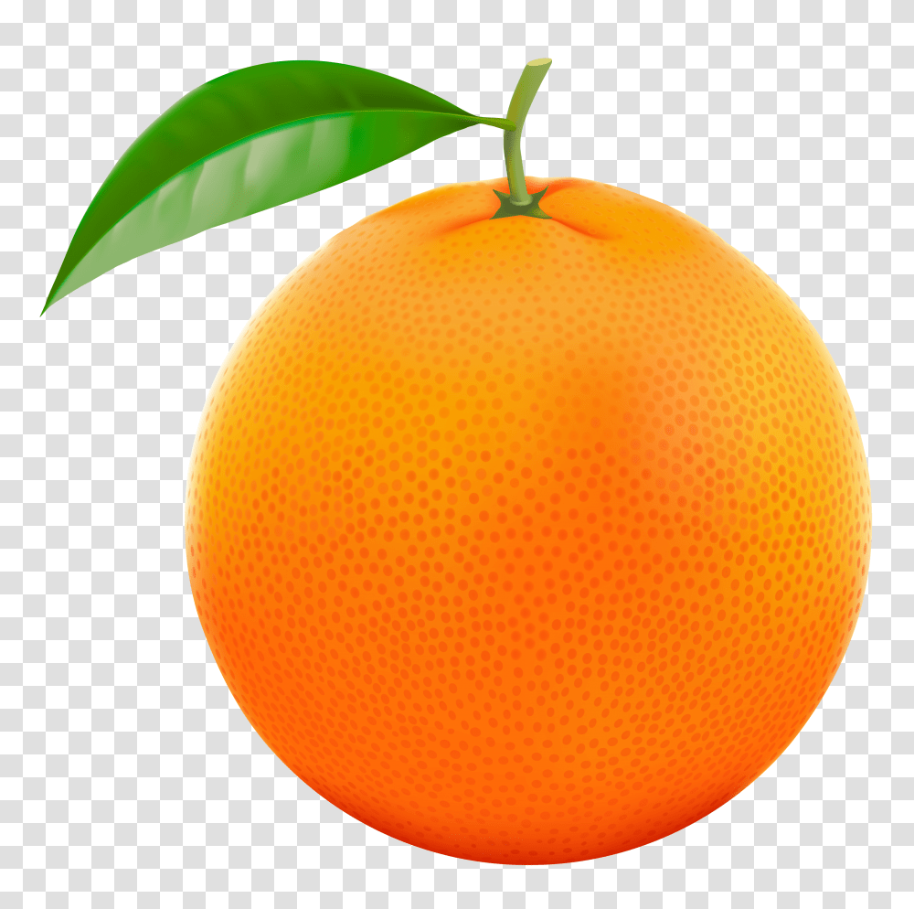 Oranges Clip Art Top View, Plant, Citrus Fruit, Food, Produce Transparent Png