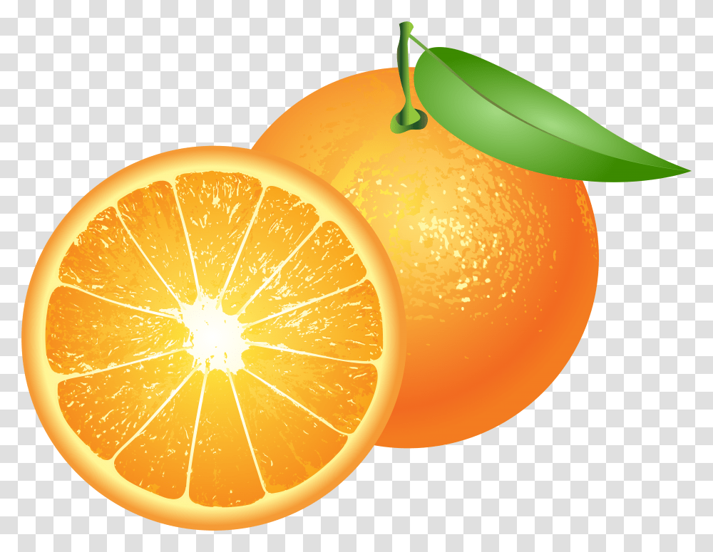 Oranges Clip Art Transparent Png