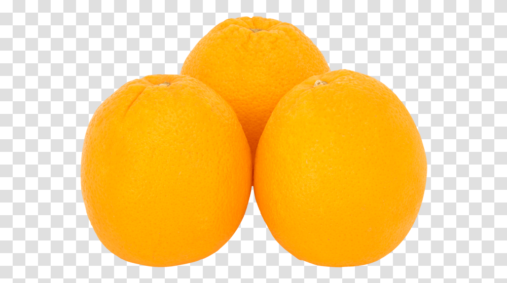 Oranges Eating Price Indicated Clementine, Plant, Citrus Fruit, Food, Produce Transparent Png