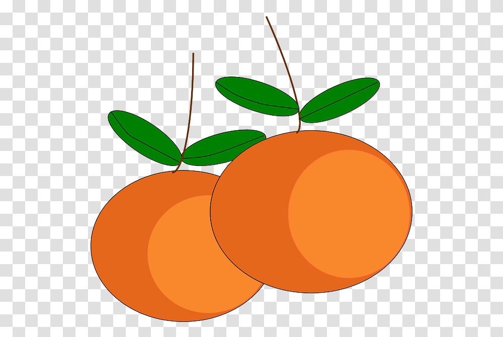 Oranges Fruits Citrus Mandarin Orange Clipart, Plant, Food, Produce, Apricot Transparent Png