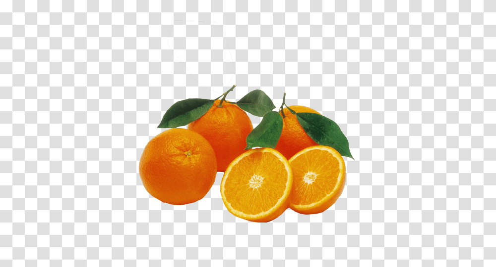 Oranges Image, Citrus Fruit, Plant, Food, Grapefruit Transparent Png