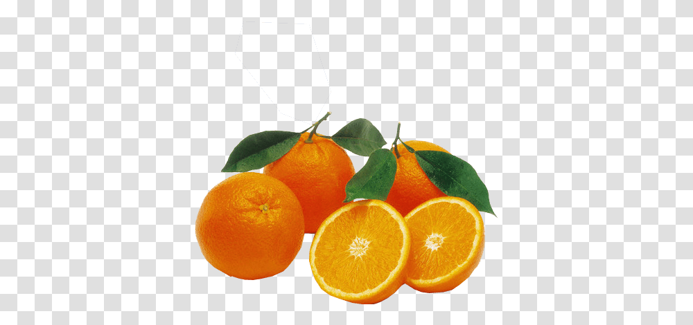 Oranges Image Free Images Orange Valencia South Africa, Citrus Fruit, Plant, Food, Grapefruit Transparent Png