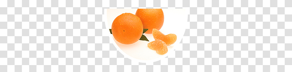 Oranges Pcn Brand, Citrus Fruit, Plant, Food, Grapefruit Transparent Png