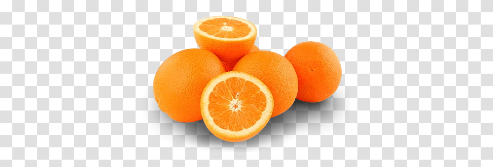Oranges Valencia Orange, Plant, Citrus Fruit, Food, Grapefruit Transparent Png