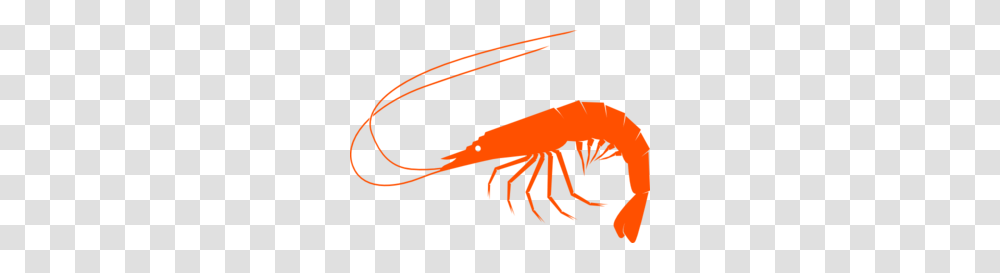 Orangeshrimp Clip Art, Seafood, Animal, Sea Life, Crawdad Transparent Png