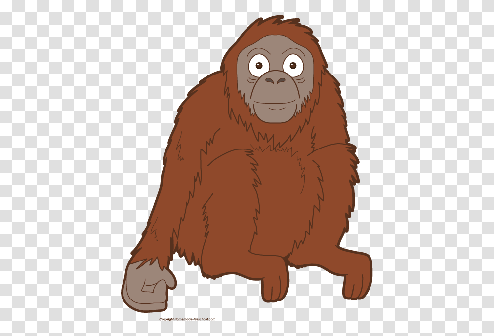 Orangutan Clipart Head, Wildlife, Animal, Mammal, Hoodie Transparent Png