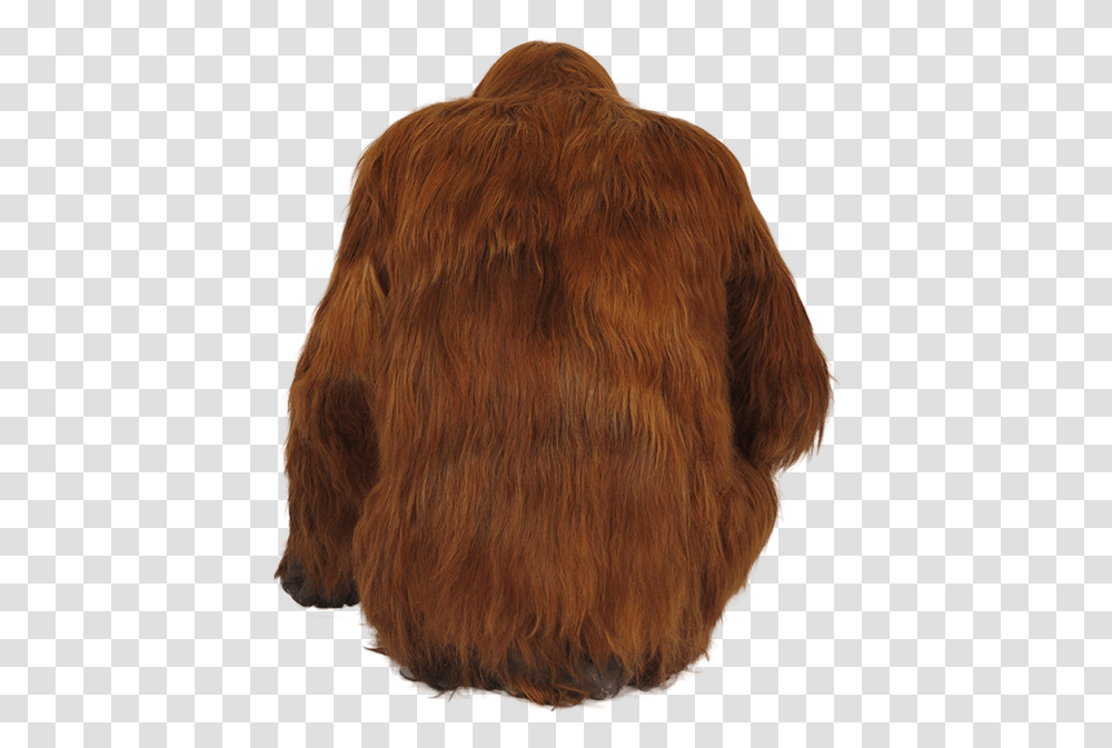 Orangutan Image Fur Clothing, Bull, Mammal, Animal, Cattle Transparent Png