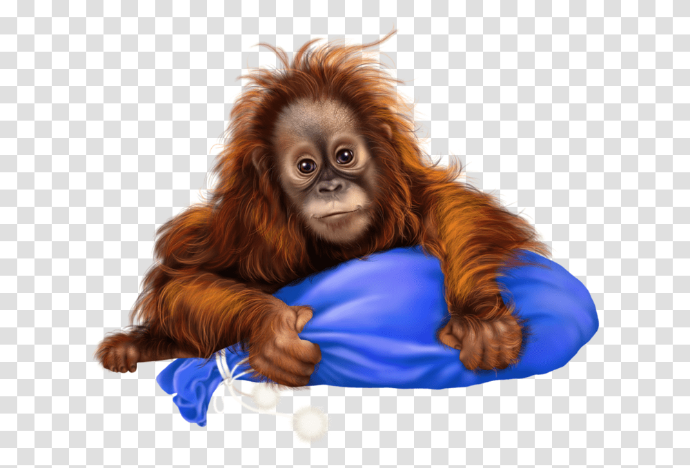 Orangutan, Mammal, Animal, Wildlife, Ape Transparent Png