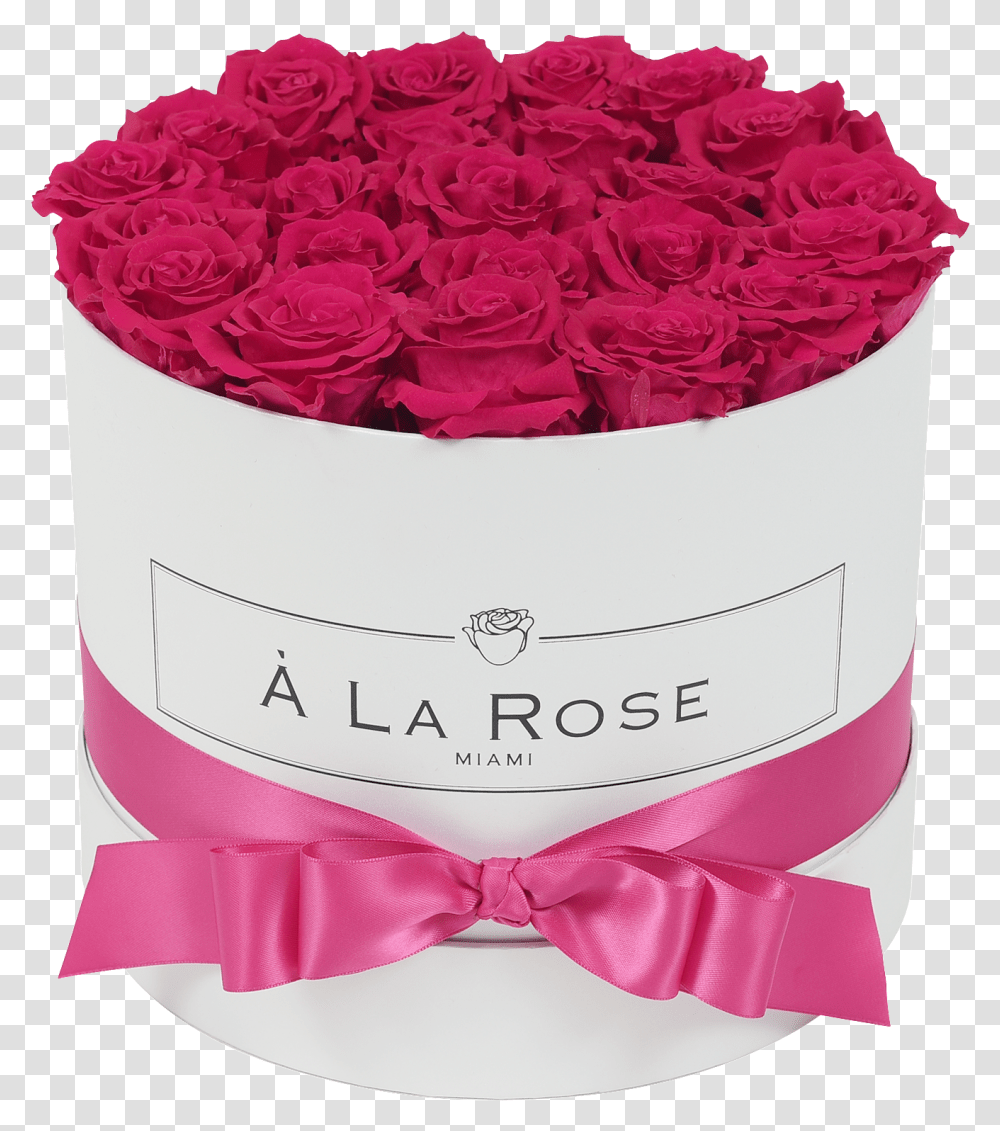 Orb Deluxe Hot Pink Roses, Plant, Flower, Blossom, Carnation Transparent Png