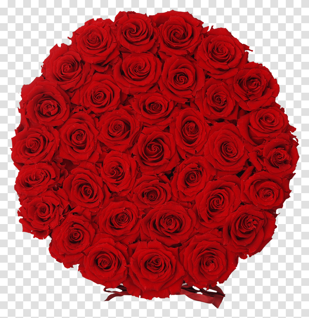 Orb Grand Red RosesClass Lazyload Lazyload Fade Garden Roses, Pattern, Embroidery, Floral Design Transparent Png