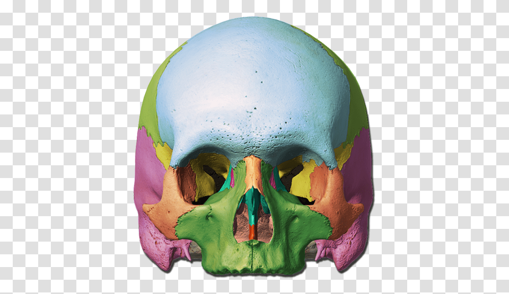 Orbit Of Skull Unlabeled, Sphere, Helmet, Apparel Transparent Png